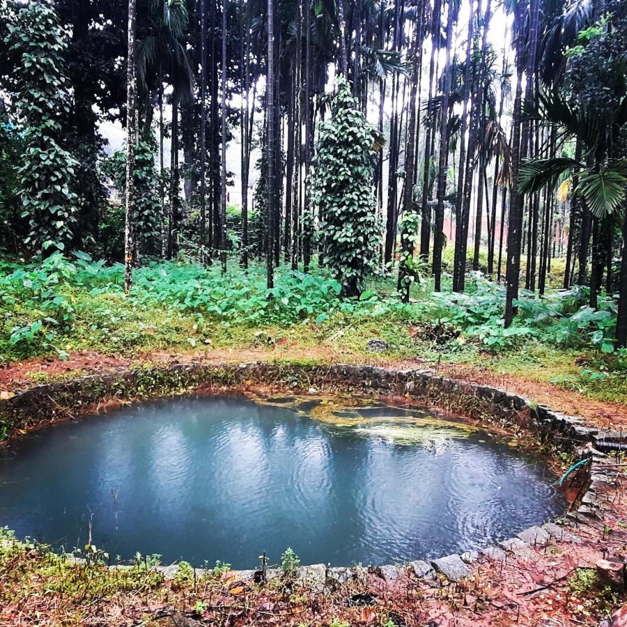 Hosamane Farm Inn Sringeri Exterior foto